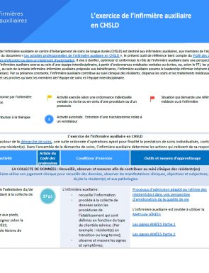 Exercice De Linfirmiere Auxiliaire En Chsld