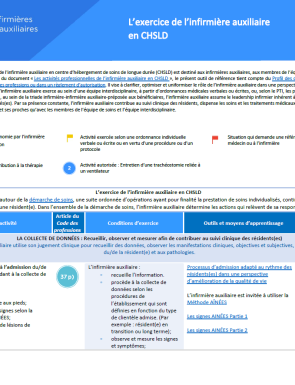 Exercice De Linfirmiere Auxiliaire En Chsld