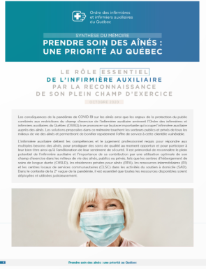 Synthese Memoire Prendre Soin Aines