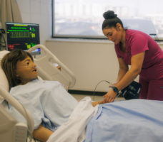 Miniature Web 295 X 259 1