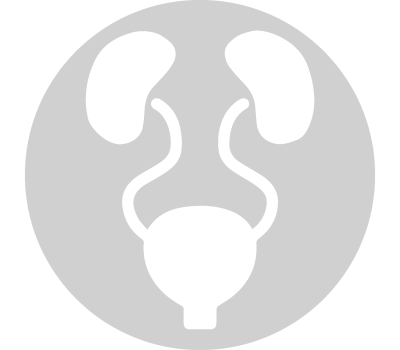 Icones Soins Relie Systeme Urinaire Reproducteur